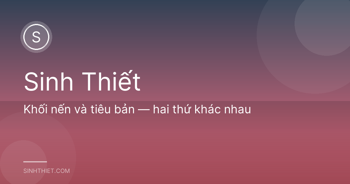 Khối nến và tiêu bản — hai thứ khác nhau